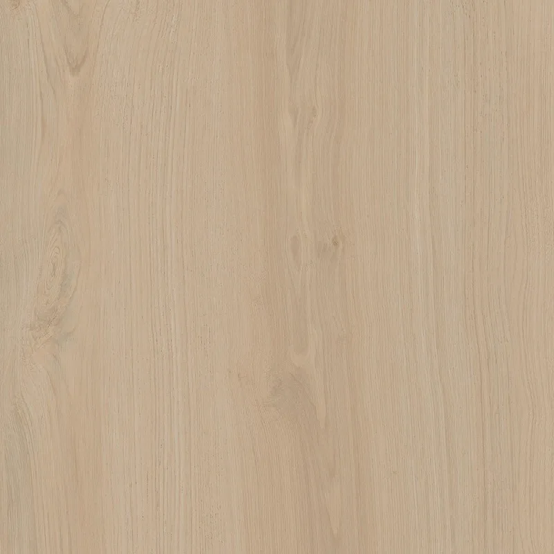 Альберони бежевый светлый матовый обрезной 60x60
