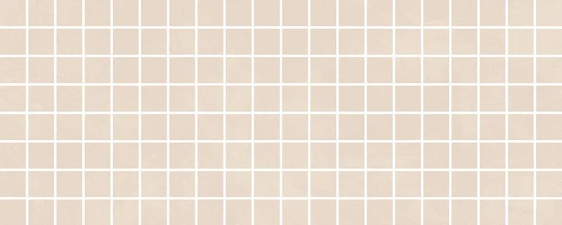 Каннареджо мозаичный бежевый матовый 20x50
