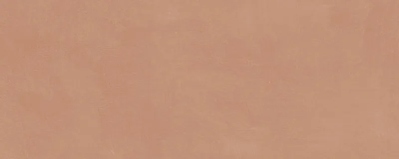 Каннареджо оранжевый матовый 20x50