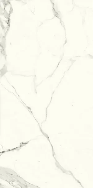 Керамогранит Marmi Classici BIANCO CALACATTA Luc (60х120)