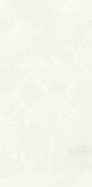 Керамогранит Marmi Classici ONICE BIANCO EXTRA Lev. Silk (60х120)
