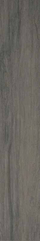 Керамогранит TAVOLATO ANTRACITE Naturale RT 20x120