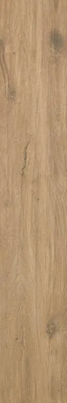 Керамогранит TAVOLATO MARRONE CHIARO Naturale RT 20x120