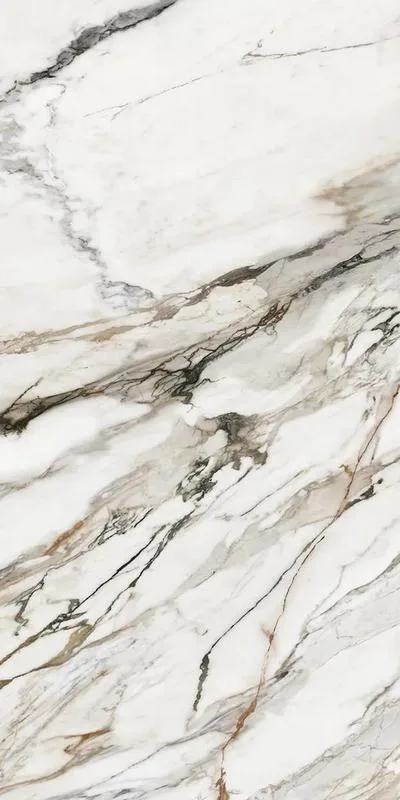 Керамогранит Calacatta Paonazzo Polished Rect (60x120)