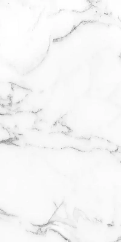 Керамогранит Aral White Polished Rect (60x120)
