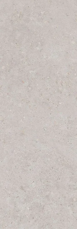 Риккарди серый светлый матовый обрезной 40x120