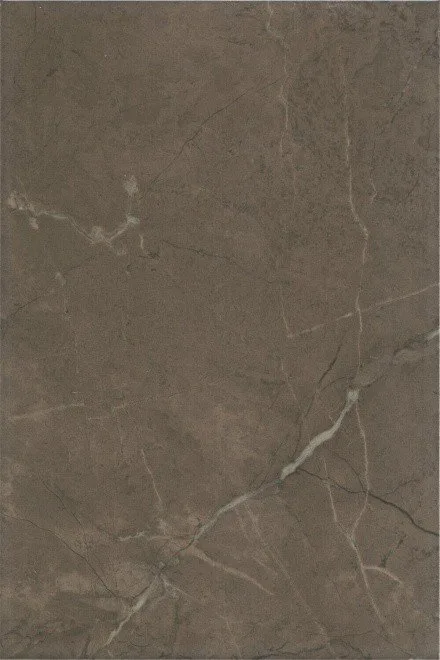 Керамическая плитка Эль-Реаль коричневый 20x30 8316
