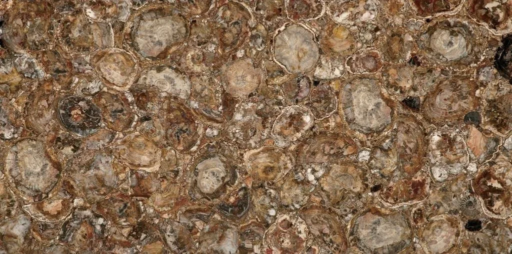 Керамогранит Petrified Wood (Round) (Compound With Granit)