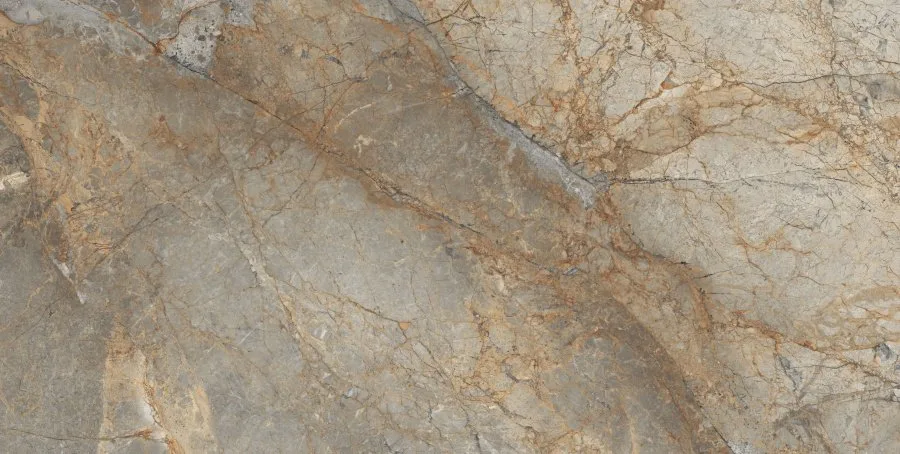 Керамогранит Rain Forest Polished 60x120 — Neodom