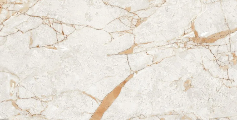 Керамогранит Rosalia Polished 60x120