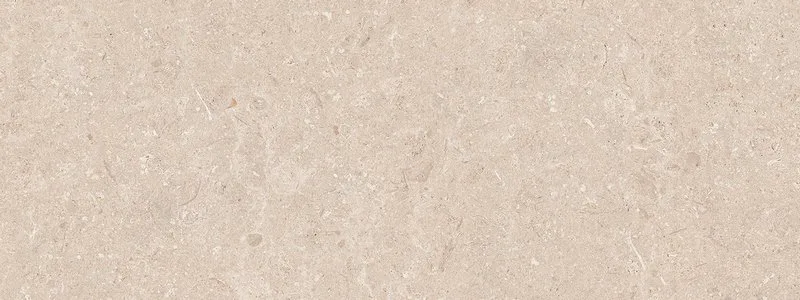 Coral Caliza 45X120(A)