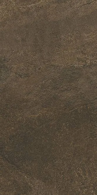 Керамогранит Про Стоун коричневый обрезной 30x60 DD200200R — Kerama Marazzi