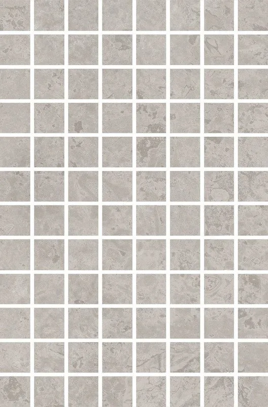 Ферони мозаичный серый матовый 20x30
