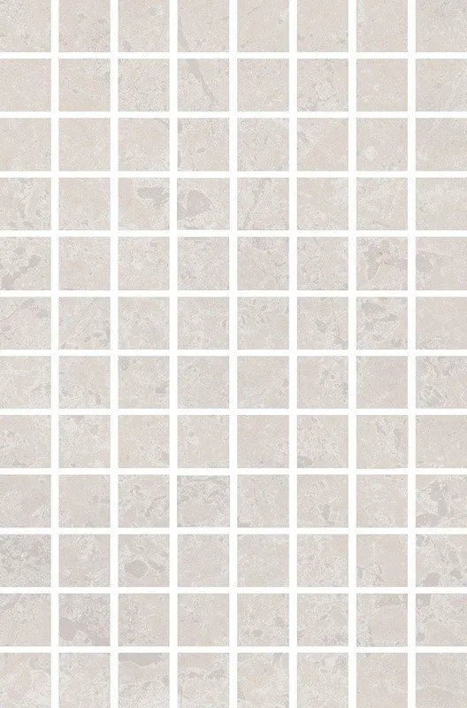 Ферони мозаичный серый светлый матовый 20x30
