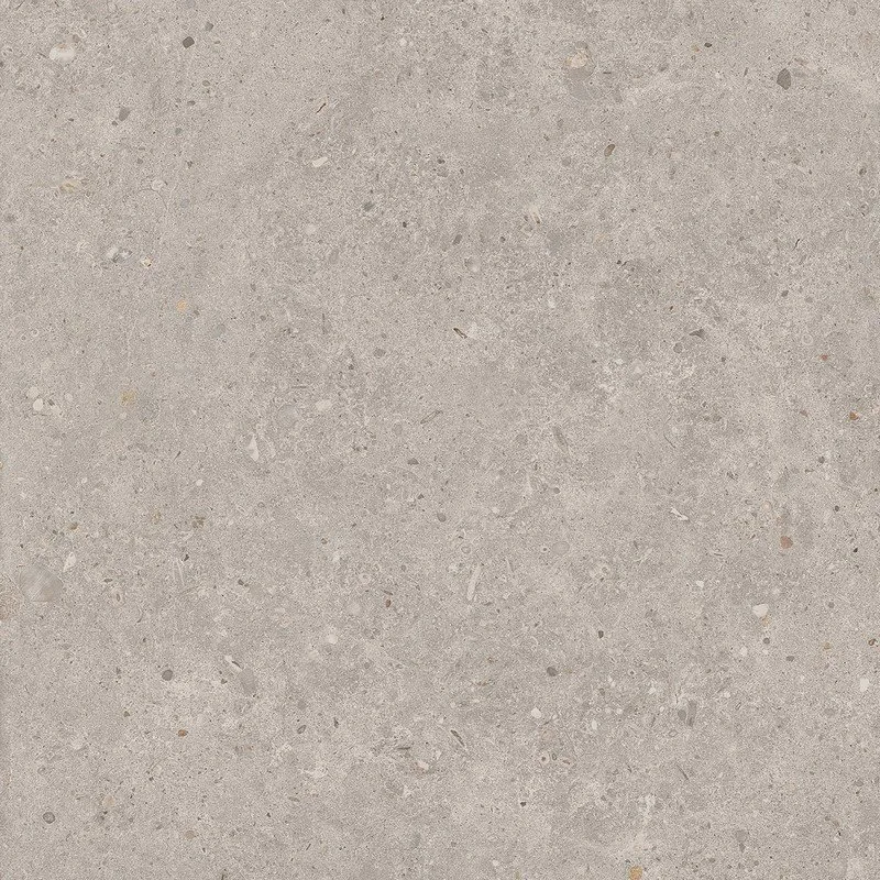 Риккарди серый светлый матовый обрезной 60x60