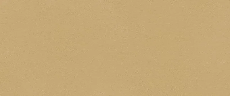 True Color 50x120 Caramel Matt, 50x120
