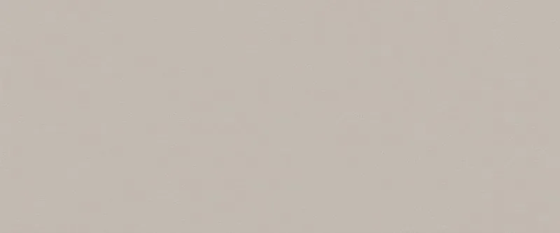 True Color 50x120 Fossil Matt, 50x120