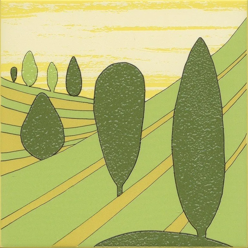 Бардини 2 20x20