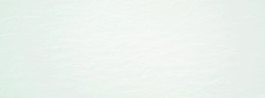 Керамическая плитка Aral White Matt Rect 33.3x90 — STN Ceramica