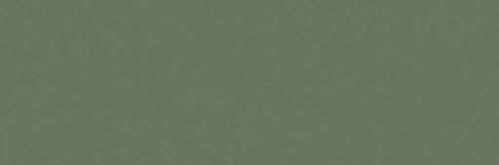 Керамическая плитка Colours Forest 33x100