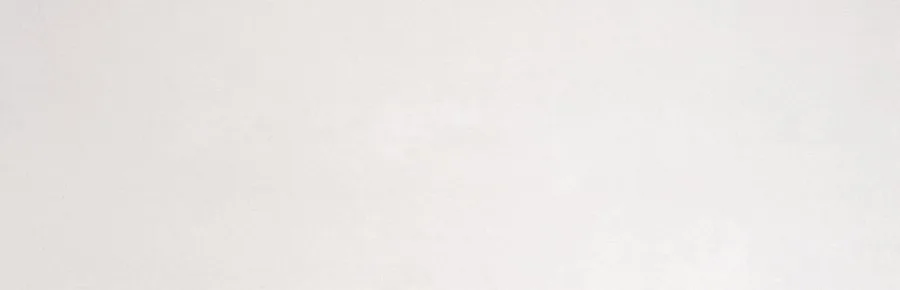 Керамическая плитка Tribeca Blanco Matt 33.3x100 — Etile