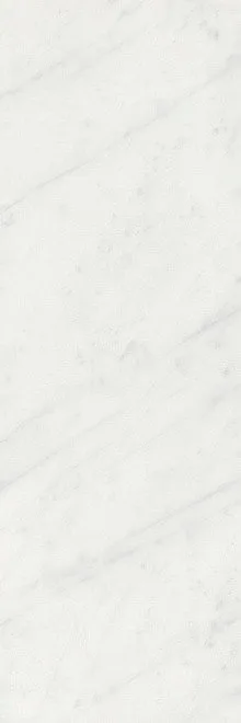 Керамическая плитка Борсари белый обрезной 25x75 12103R