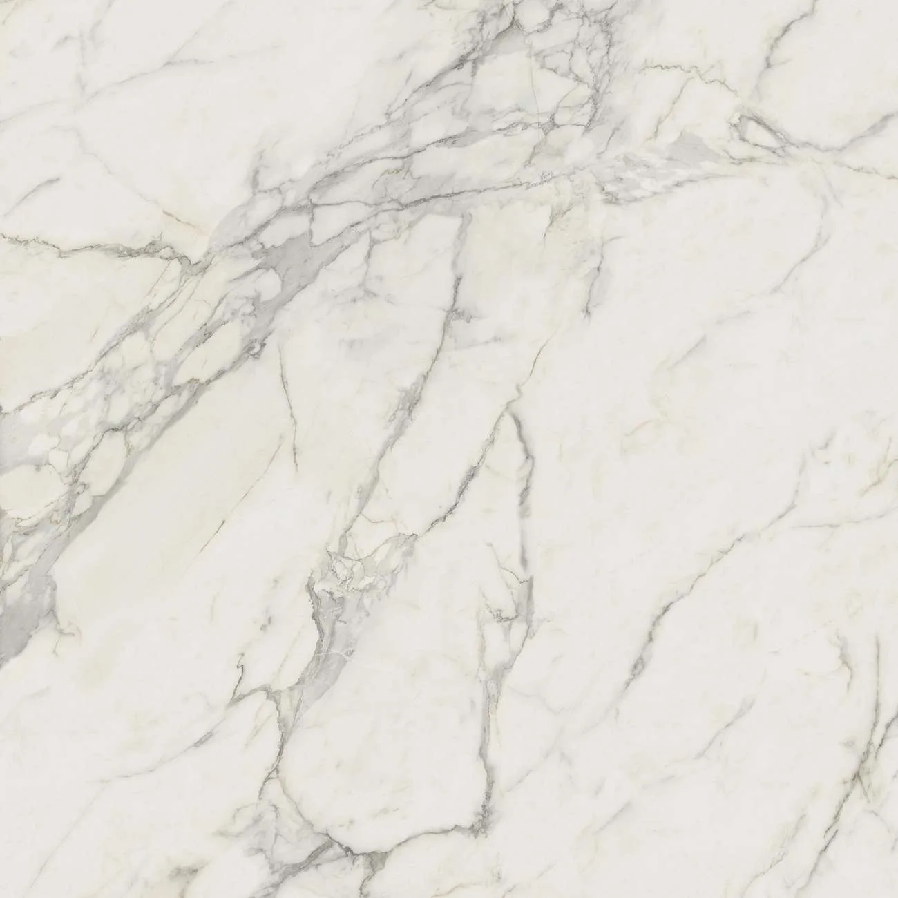 Marvel Calacatta Extra 120x120