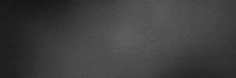 Laminam Filo Pece 300x100 3.5 мм