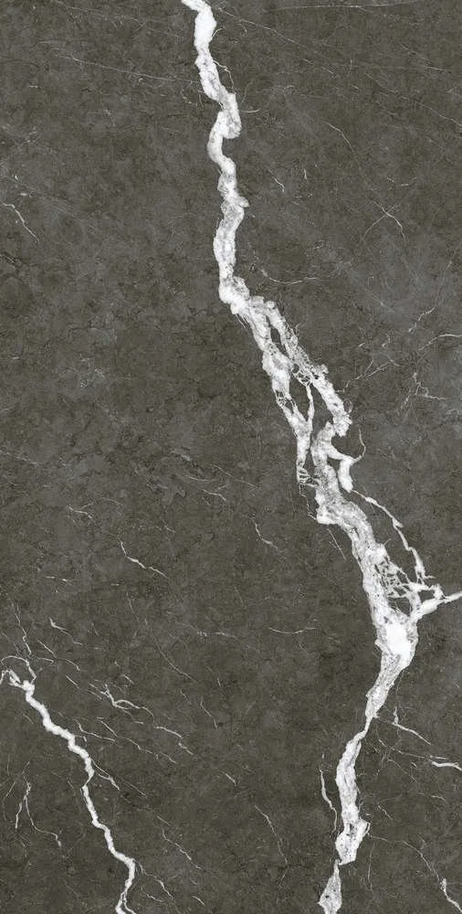 Coliseumgres Michelangelo Dark 60x120 Ret — Coliseumgres