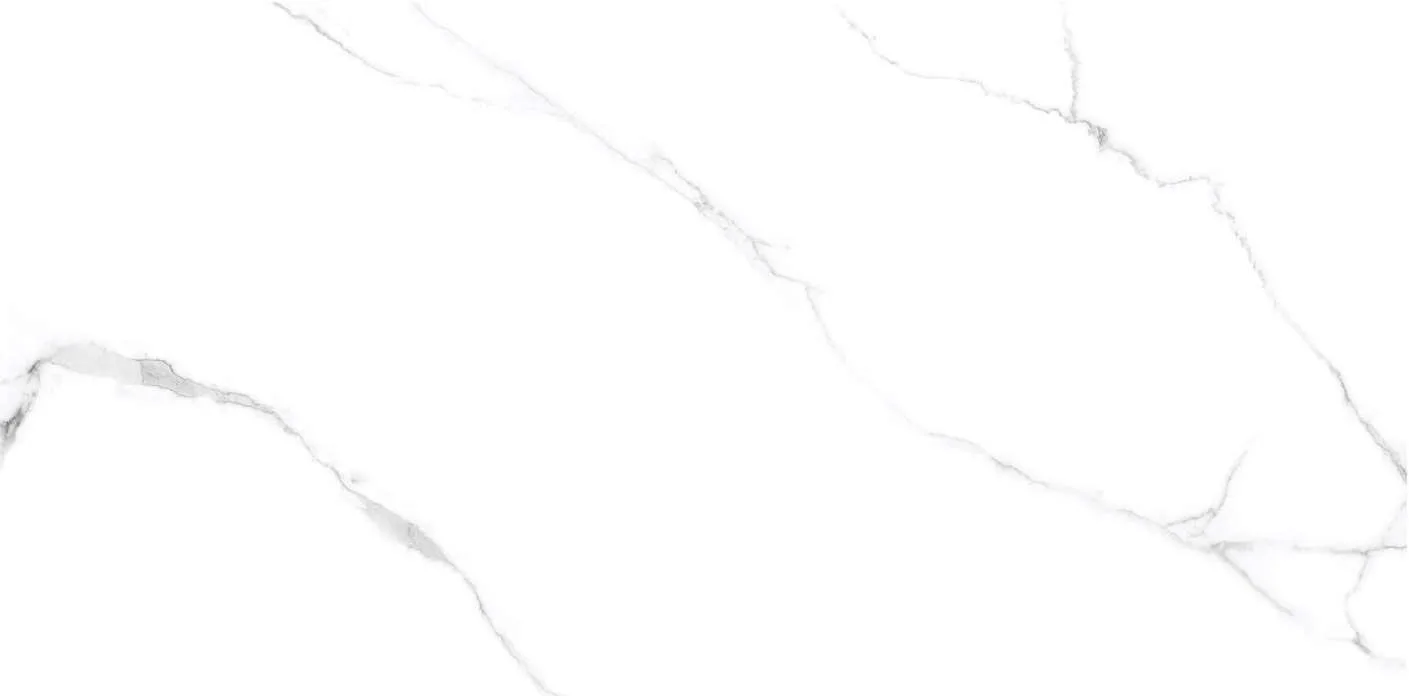 Laparet Atlantic White 120x60 Белый S полированный