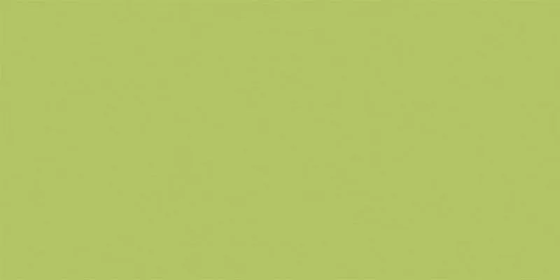 YC93 YourColor натуральная 60x120 зеленый