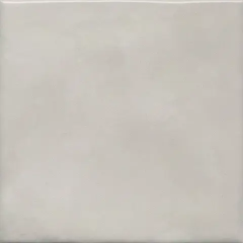 Адриатика серый глянцевый 20x20