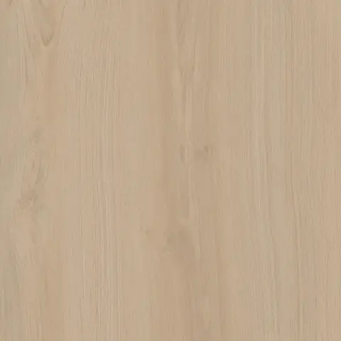 Альберони бежевый светлый матовый обрезной 60x60