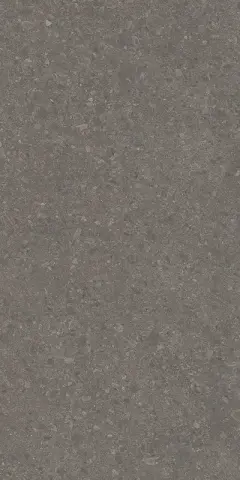Чеппо ди Гре коричневый матовый обрезной 119,5x238,5