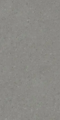 Чеппо ди Гре серый тёмный матовый обрезной 119,5x238,5