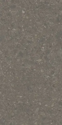 Чеппо ди Гре коричневый матовый обрезной 60x119,5