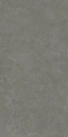 Касабланка UP серый тёмный матовый обрезной 60x119,5 керамогранит