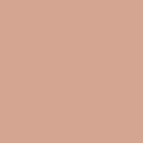 Керамогранит Bauhome Rose 20X20