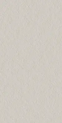 Керамогранит SCB Flamed 60x120