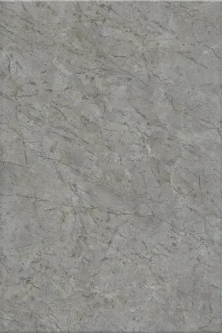 Каприччо серый глянцевый 20x30