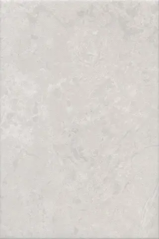 Ферони серый светлый матовый 20x30