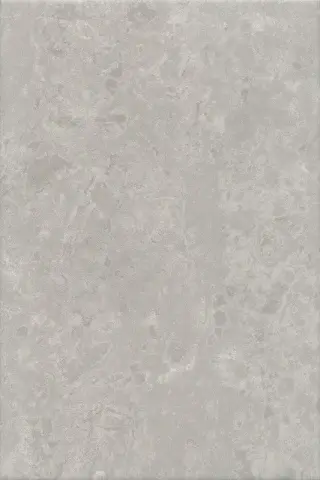 Ферони серый матовый 20x30