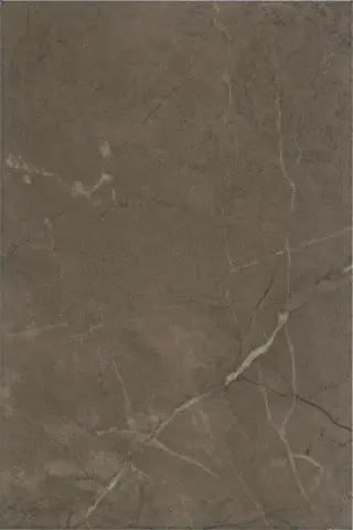 Керамическая плитка Эль-Реаль коричневый 20x30 8316