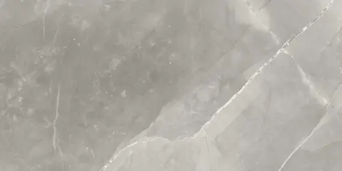 Керамогранит Fior Di Bosco Polished 60x120
