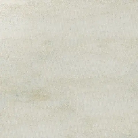 Керамогранит Pav Rossana Neutral 50x50