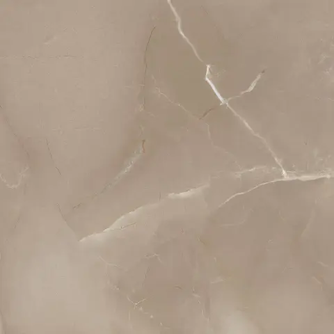 Керамогранит Passion Lux 60 Taupe 60x60