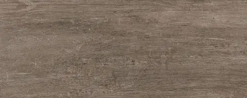 Керамогранит Акация коричневый 20.1x50.2 SG412900N
