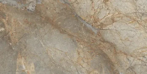 Керамогранит Rain Forest Polished 60x120