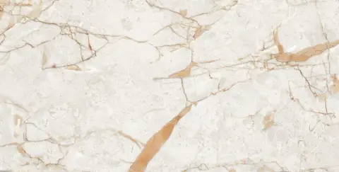Керамогранит Rosalia Polished 60x120