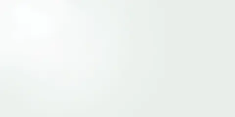 Керамогранит Zeus White Gloss 49.1x98.2